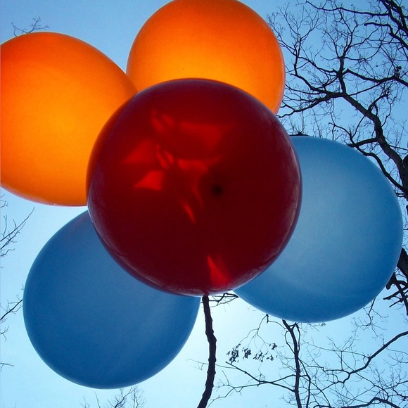 Meet your Posher, Mark - Picture 2 of 2